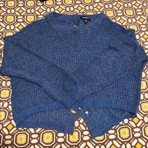 Express Blue Knit Sweater with Holes in the back